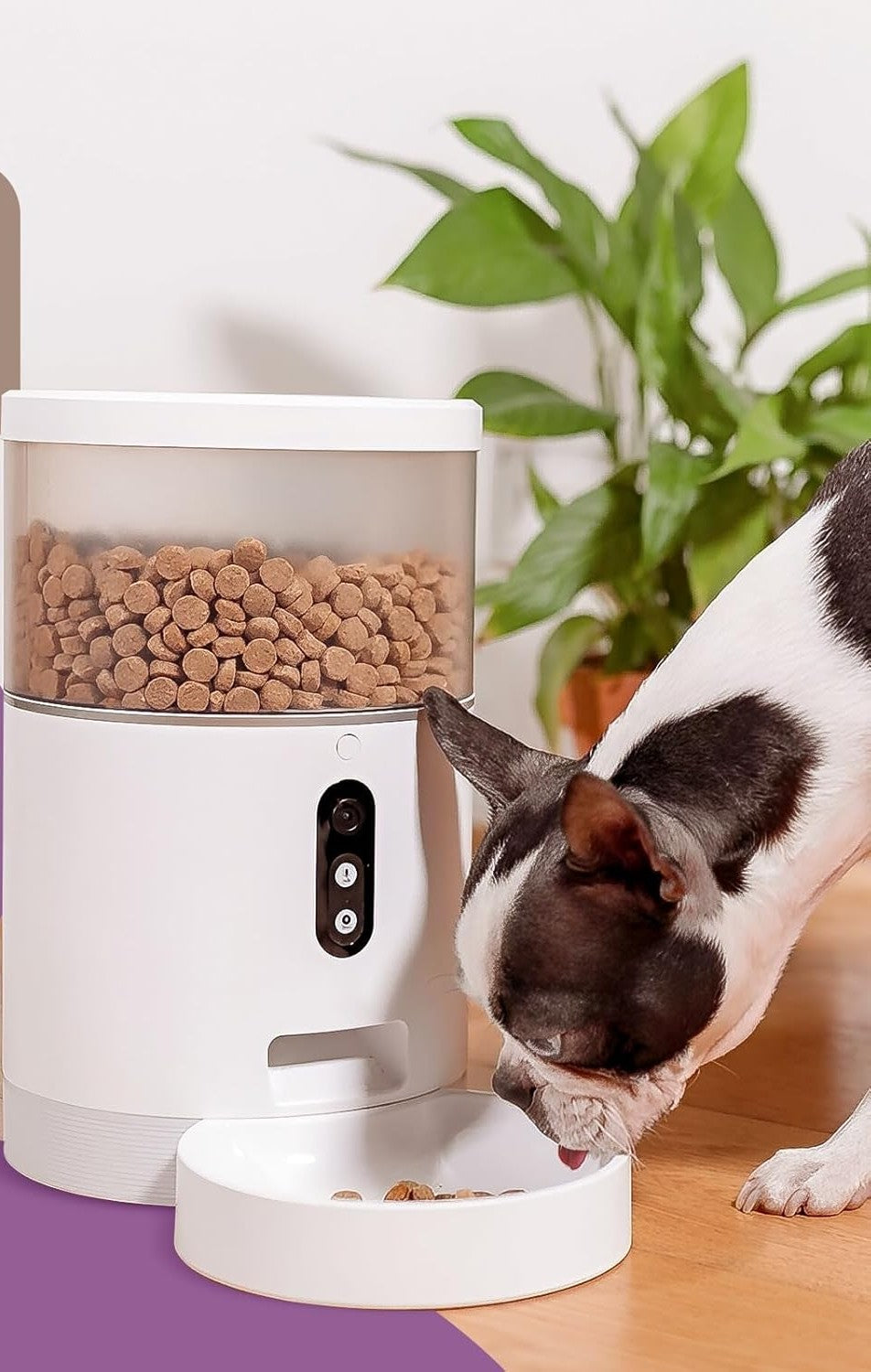 Automatic Pet Feeder with Timer